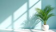 © Maryna - Green palm plant stands in white pot. Bright sunlight casts strong geometric shadows, distinct leaf patterns on light blue wall, white floor. Minimalist tropical decor creates calm scene, simple