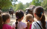 Children watching african buffaloes at the zoo during a school field trip on a sunny day outdoors . High quality