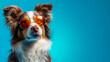 © Synthesia Studio - Banner with cool dog wearing sunglasses on bright blue background with copy space