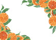 © Masha_tolk_art - Citrus fruit slices among green leaves watercolor border on isolated background. Sliced round ripe orange rectangle frame with copy space for text. Traditional aromatic ingredients illustration.