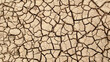 © Stock4u2024  - Cracked earth under the scorching sun, a sign of drought and arid conditions. The parched ground displays a network of fissures, reflecting the harsh environment