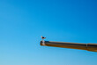 © mariano - Seagull perched on a cannon barrel against clear blue sky