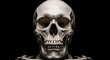 © ManuStockStudio - Skull anatomy human skeleton death head halloween art