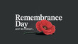 © Safu Ra - Remembrance Day Poppy Flower Tribute Lest We Forget Illustration