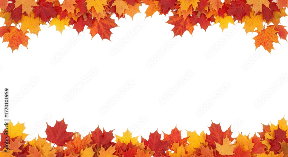 Border Frame Of Colorful Maple Leaves In Autumn Red Orange Yellow ...
