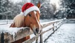 © Ilja - Festive Brown Horse Portrait Wearing Santa Hat in Winter Snowy Landscape with Christmas Cheer