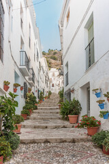  Sunlit Whitewashed Step Street with Terracotta Pots and Green Plants, Mediterranean Village