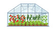 © Avra - Modern glass greenhouse with a lush garden of fresh organic vegetables including tomatoes and cucumbers. Vector illustration for farming