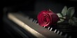 © Mykola - Single Rose On Piano. Red Rose Symbolizing Beauty on Musical Instrument