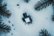 © Iombi - Frasco de perfume negro sobre nieve rodeado de ramas de pino