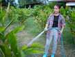 © buraratn - Young woman watering plants in garden, wearing plaid shirt and blue boots, surrounded by lush greenery. scene conveys sense of tranquility and connection to nature