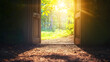 © Nongluk - Open door revealing a bright new world, symbolizing opportunity, hope, growth, change, and fresh beginnings.