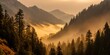 © ArtPixel-Portfolio - Golden light filling a mountain valley covered in fog, evergreen forest creating beautiful serene nature landscape scene