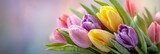 Colorful bouquet of fresh tulips with droplets of water