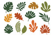 © Rani - Collection of abstract leaves in earthy tones, a modern botanical set with monstera and other tropical foliage shapes, a flat vector illustration