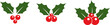 © Nil - Classic holly berries and leaves clustered together, Christmas concept, festivities and winter festive decorations