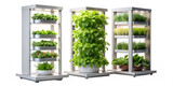 Three vertical hydroponic towers growing fresh herbs isolated on transparent background for urban farm