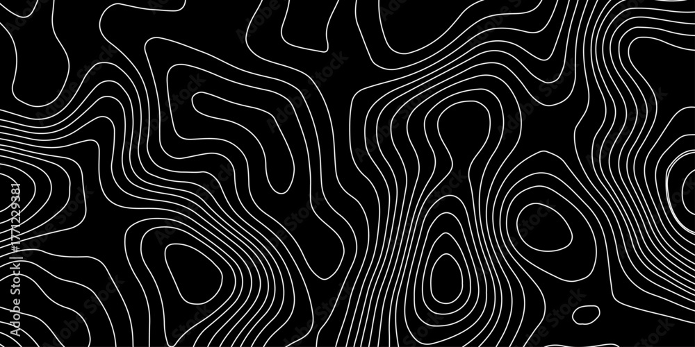 white background with abstract topographic whit color grid line topo ...