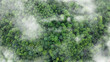 © Kalawin - Green tree nature background for carbon neutrality and net zero emissions concept. Drone view of green tree captures CO2 to Sustainable green environment.