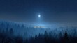 © Alona - Star Over Bethlehem. Nativity of Jesus Christ with Bright Star in Starry Night Sky