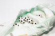 © Andres Serna - Small soccer balls inside a white disposable diaper on a white background