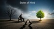 © MMerellinn - Contrast between inner turmoil and peace: A lone elder contemplates on cracked earth under stormy skies, facing a vibrant tree in bright sunshine, reflecting profound mental states.