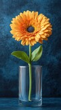 Vibrant Orange Gerbera Daisy in a Clear Glass Vase