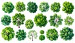© Rahmat  - Top View Green Tree Collection for Landscape Plan