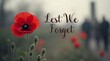 © Sabra - Red Poppy Remembrance Tribute with “Lest We Forget” Message