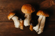 © ADDICTIVE STOCK - Fresh porcini mushrooms on rustic wooden surface