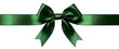 © Edgar Martirosyan - green ribbon with a bow on a transparent background