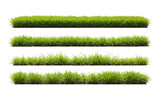 Four rows of lush green grass transparent background cutout png