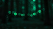 © Alfa Photos - Mystical emerald orbs illuminate the obscure night forest, creating a dreamlike ambiance with their ethereal glow.