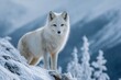 © SaroStock - White fox sitting on a snowy hill in Yellowstone National Park during winter, looking alert and watching the surrounding area