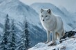 © SaroStock - White fox sitting on a snowy hill in Yellowstone National Park during winter, looking alert and watching the surrounding area
