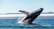 © phj.domingos - Humpback whale breaching from the ocean surface against a backdrop of distant mountains