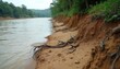 © Pete - Muddy river flows past eroded sand banks with exposed roots and green forest. Water current shapes the wild shoreline under an overcast sky. Natural landscape shows earth erosion by water.