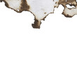 © MDPARVEZ - A single piece of old, aged paper with burnt and scorched edges isolated on a transparent background png