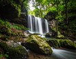 © Tul - Serene waterfall cascading into a tranquil stream in lush forest