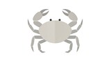 Simple grey crab illustration on a clean white background