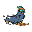 © graphophonic - Fur Seal Skiing, Simple 2d Vector Graphic,  Isolated On A White Background.