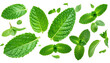 © Muhammad - Vivid green mint leaves scattered against a stark black background, emphasizing their freshness and textured details