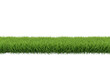 © ArsiStudio - Realistic green grass turf border strip isolated, ideal for spring or summer design projects. isolated PNG with Transparent Background