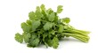 © muhammad - Fresh cilantro bunch isolated on white background culinary herb and food ingredient photo