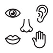 © MDMONIR - Five human senses vector illustration