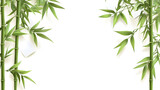 Green bamboo stalks and leaves frame a clean white background creating a natural border for text or design elements