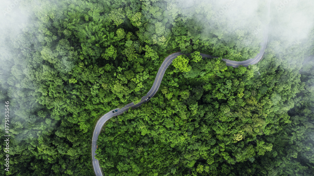 Aerial view of a winding road curving through lush green tropical ...