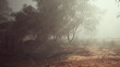 © icetray - Dense mist envelops a tranquil Australian landscape, where trees stand tall against the fog. Soft earth and underbrush hint at the calmness of nature in this peaceful setting.
