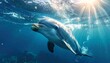 © CHOISH - 햇살이 비치는 푸른 바다 속을 헤엄치는 돌고래의 수중 사진 Graceful dolphin swimming through sunlit blue ocean — underwater photography