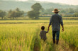 © Ihateworking - Father & Child in Rice Field